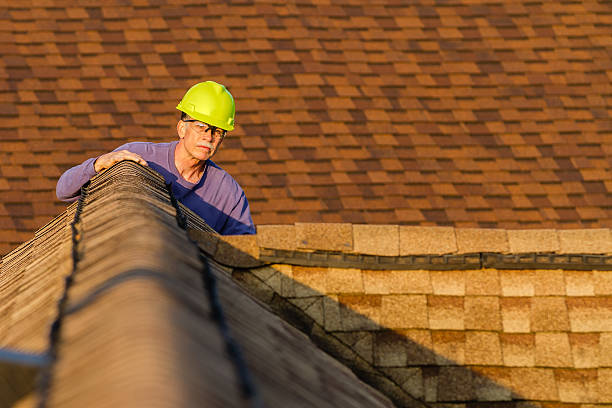 Best Roof Gutter Cleaning  in Denver City, TX